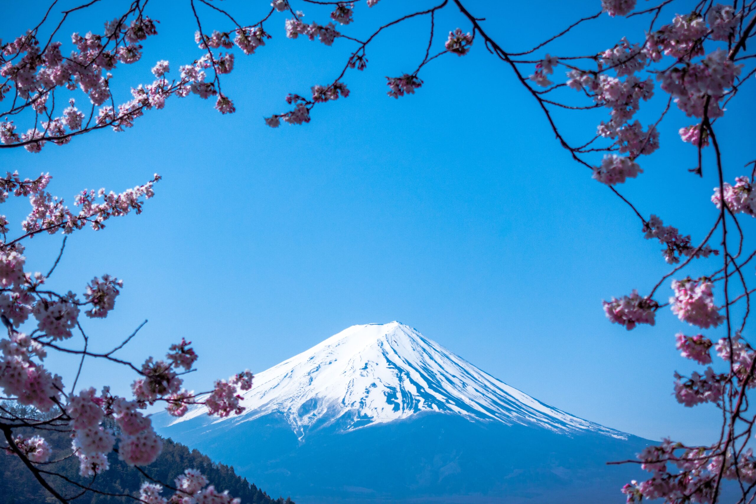 ふるさと納税